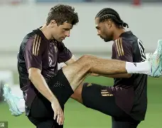  摩纳哥与本菲卡的欧冠战场 